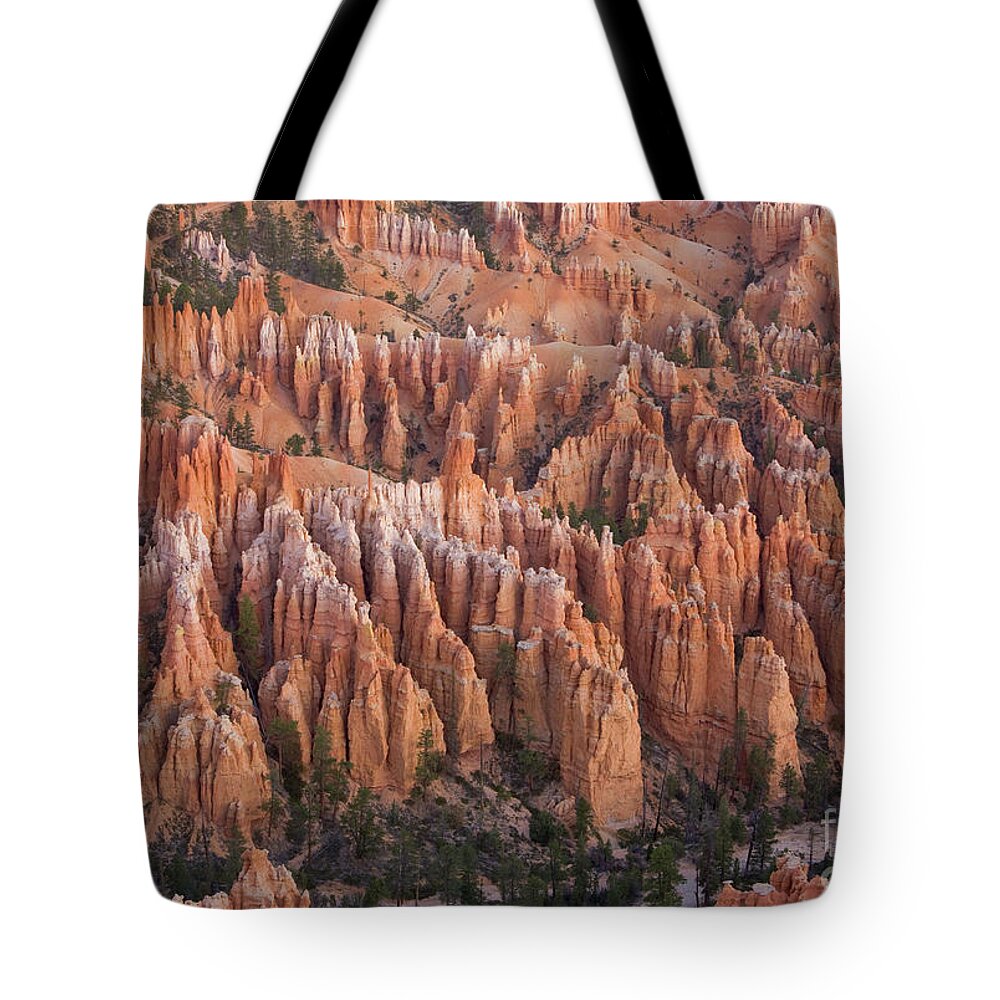 00431146 Tote Bag featuring the photograph Sandstone Hoodoos in Bryce Canyon by Yva Momatiuk and John Eastcott