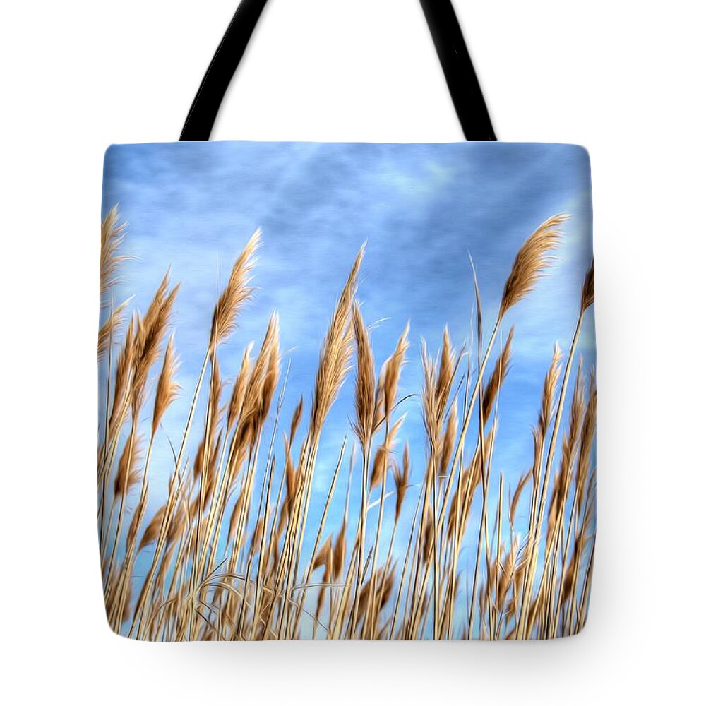 Sea Tote Bag featuring the photograph Sea Breeze #1 by Kelvin Booker