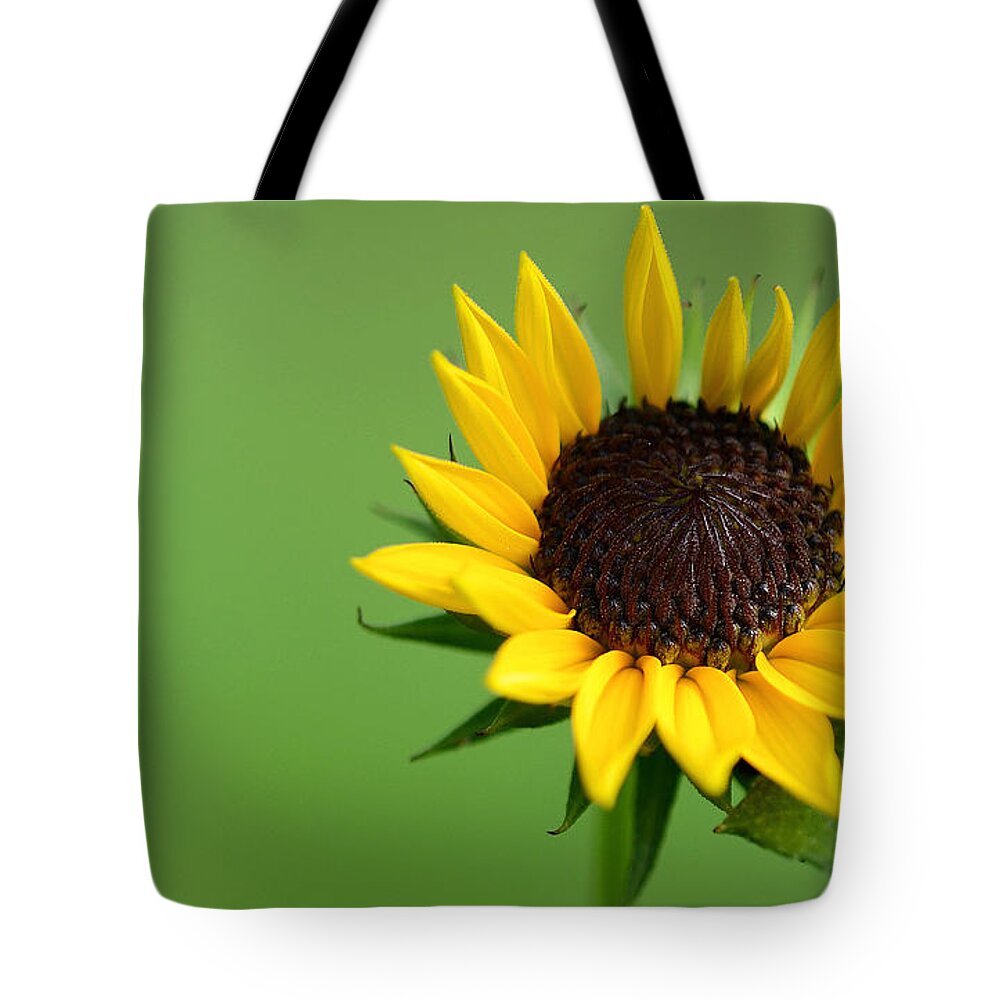 Flower Tote Bag featuring the photograph Sensitivity #2 by Melanie Moraga