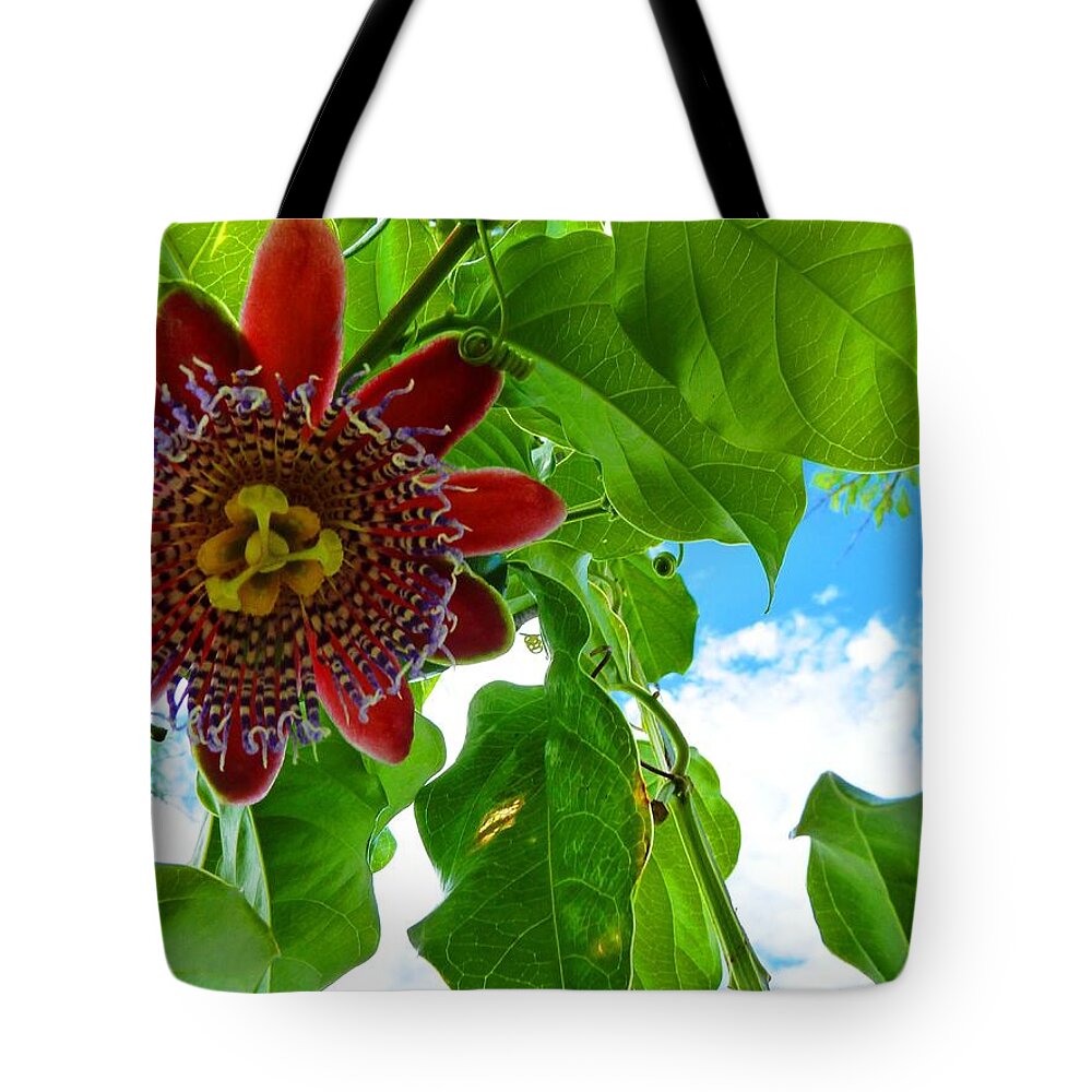 Serenity Tote Bag featuring the photograph Serenity #1 by Julia Ivanovna Willhite