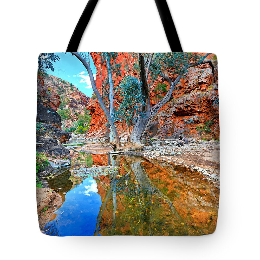 Serpentine Gorge Central Australia Northern Territory Outback Landscape Australian Gum Tree Water Hole Tote Bag featuring the photograph Serpentine Gorge Central Australia #4 by Bill Robinson