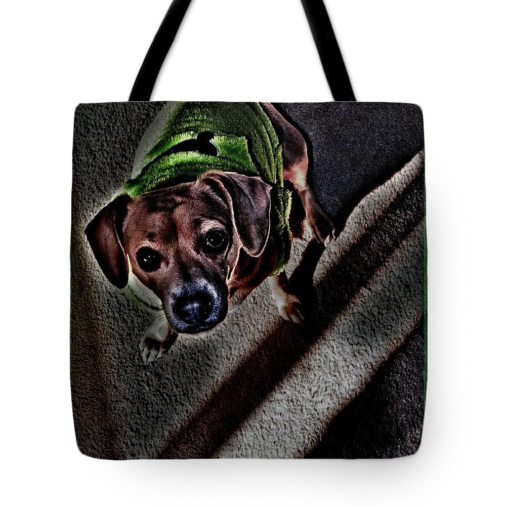 Princess Betty Biscuits Tote Bag featuring the photograph ShaDeD #1 by Angela J Wright