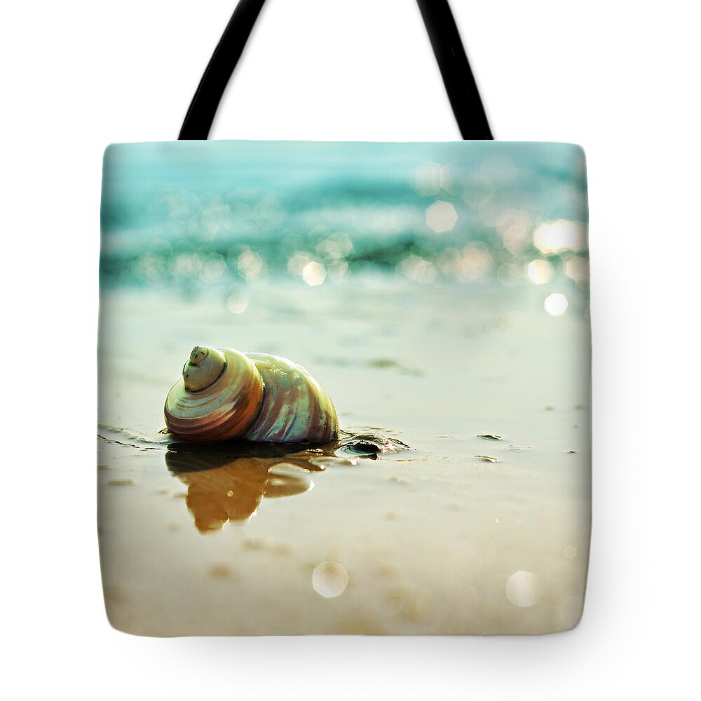 Beach Tote Bag featuring the photograph Shore Dweller by Laura Fasulo