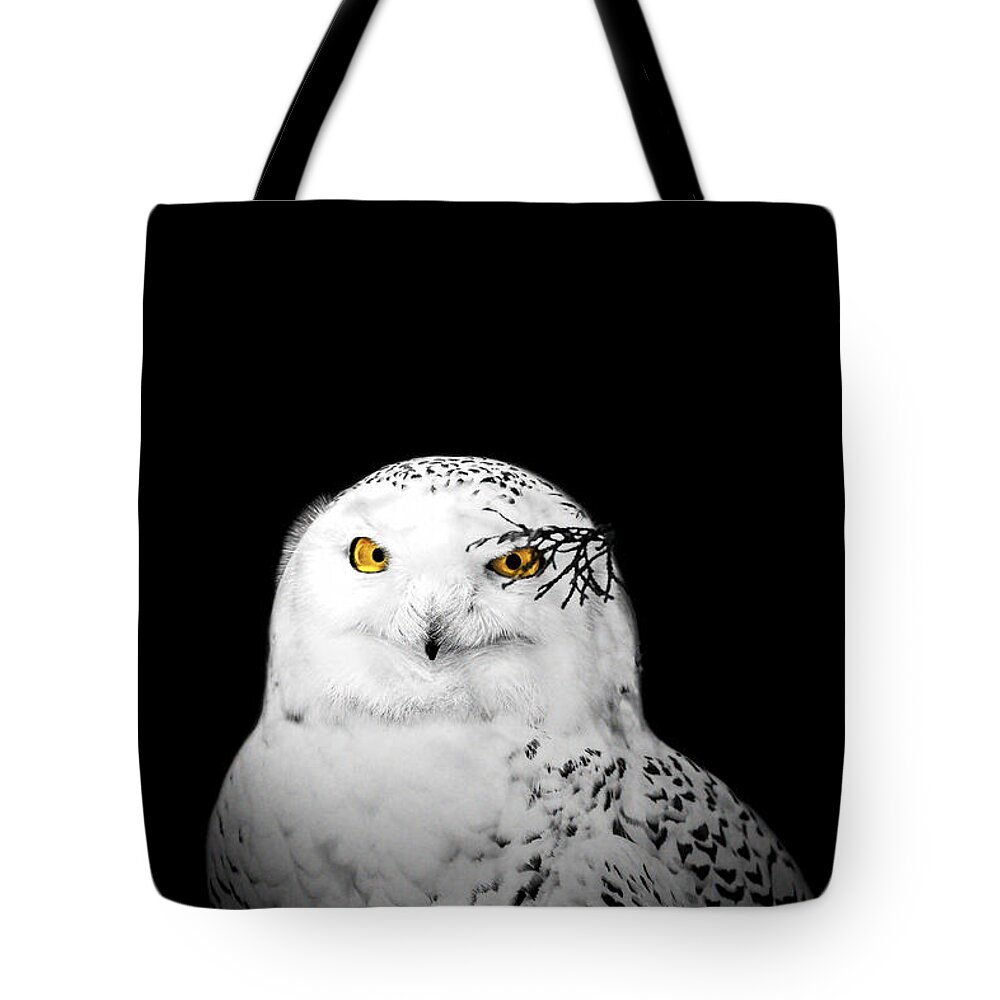 Animal Tote Bag featuring the photograph Snowy Owl #1 by Peter Lakomy