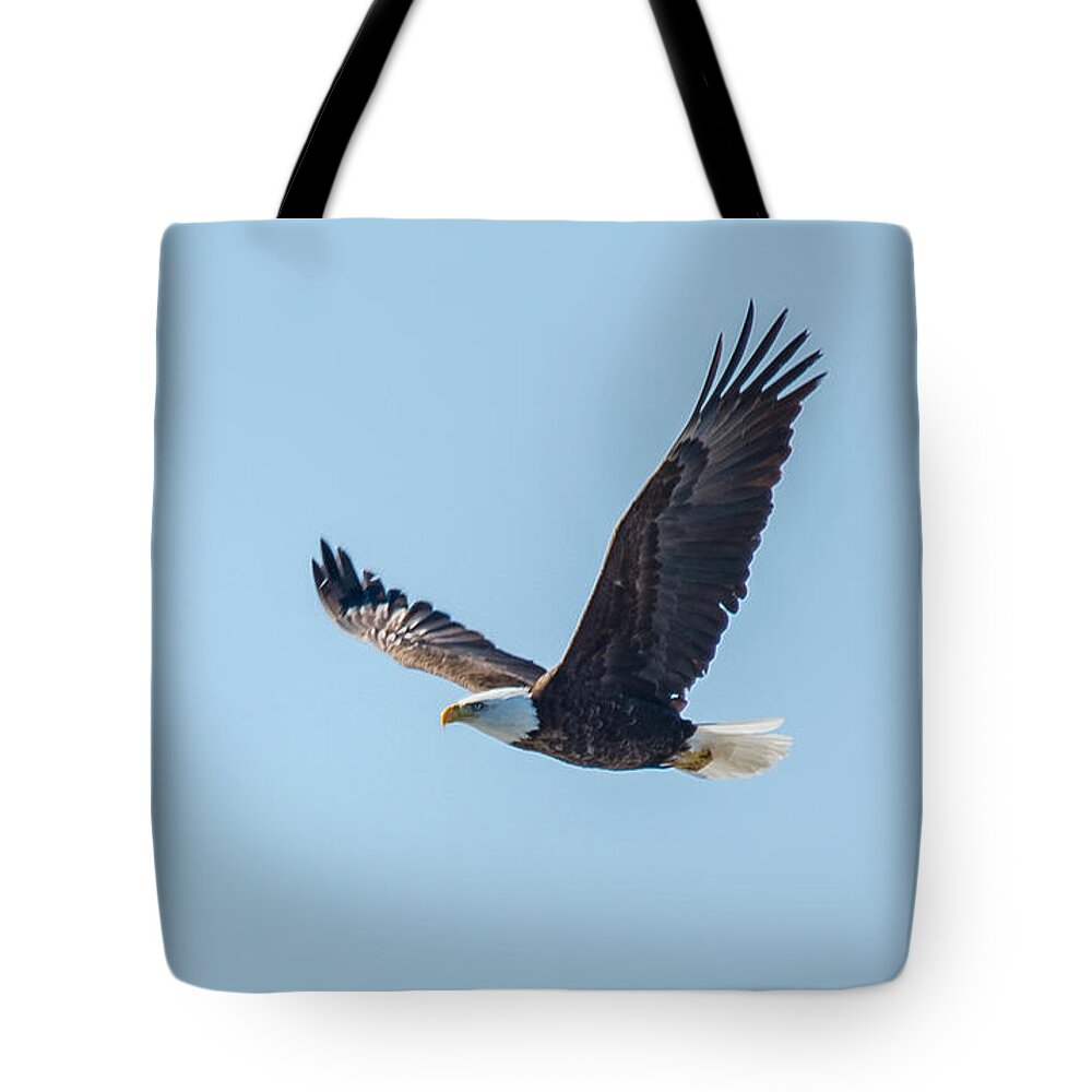 Bird Tote Bag featuring the photograph Soaring High #1 by Cheryl Baxter