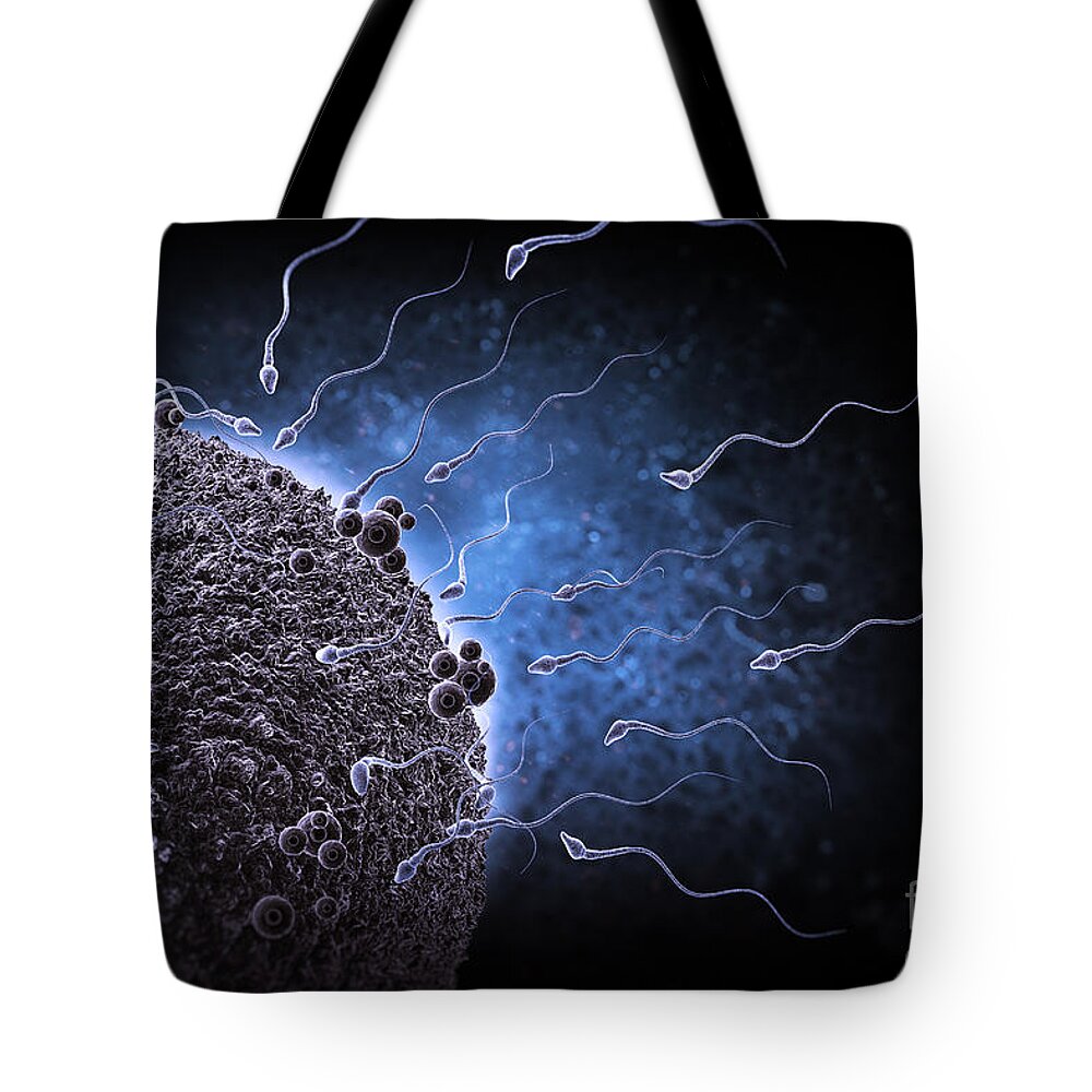 Fertility Tote Bag featuring the photograph Sperm And Ovum #1 by Science Picture Co