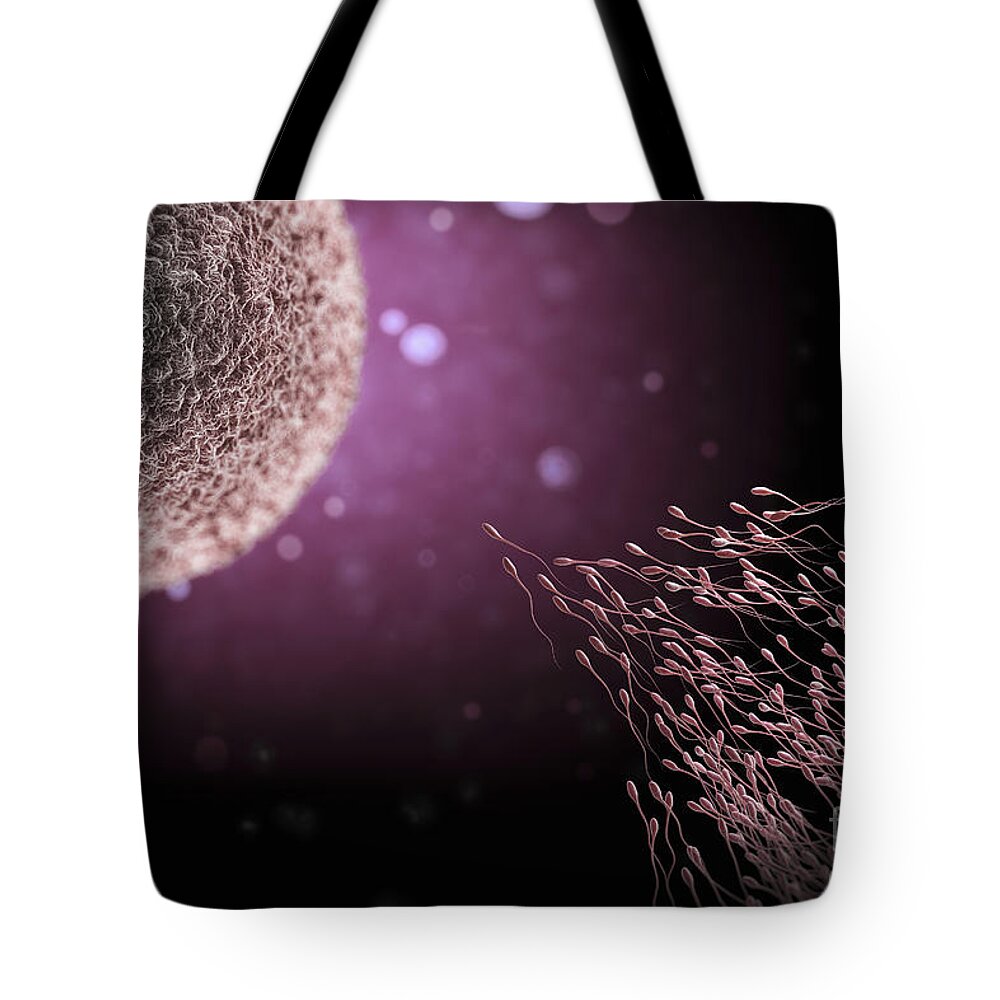 Fertility Tote Bag featuring the photograph Sperm Approaching Ovum #1 by Science Picture Co