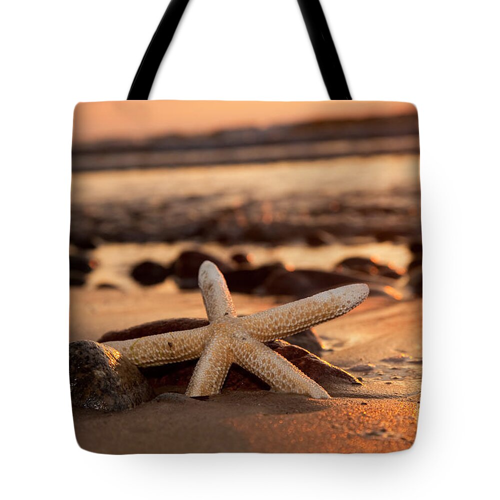 Starfish Tote Bag featuring the photograph Starfish on the beach at sunset #1 by Michal Bednarek