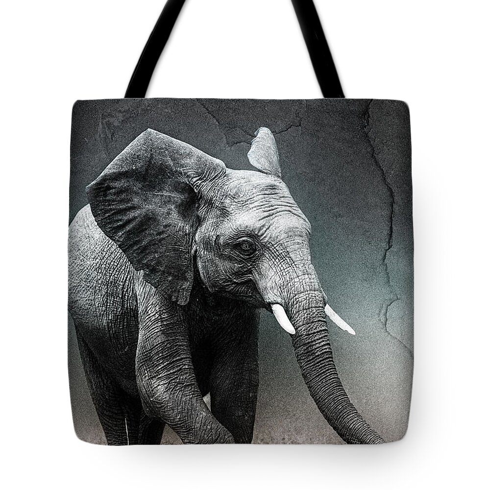 Africa Tote Bag featuring the photograph Stone Texture Elephant #1 by Mike Gaudaur
