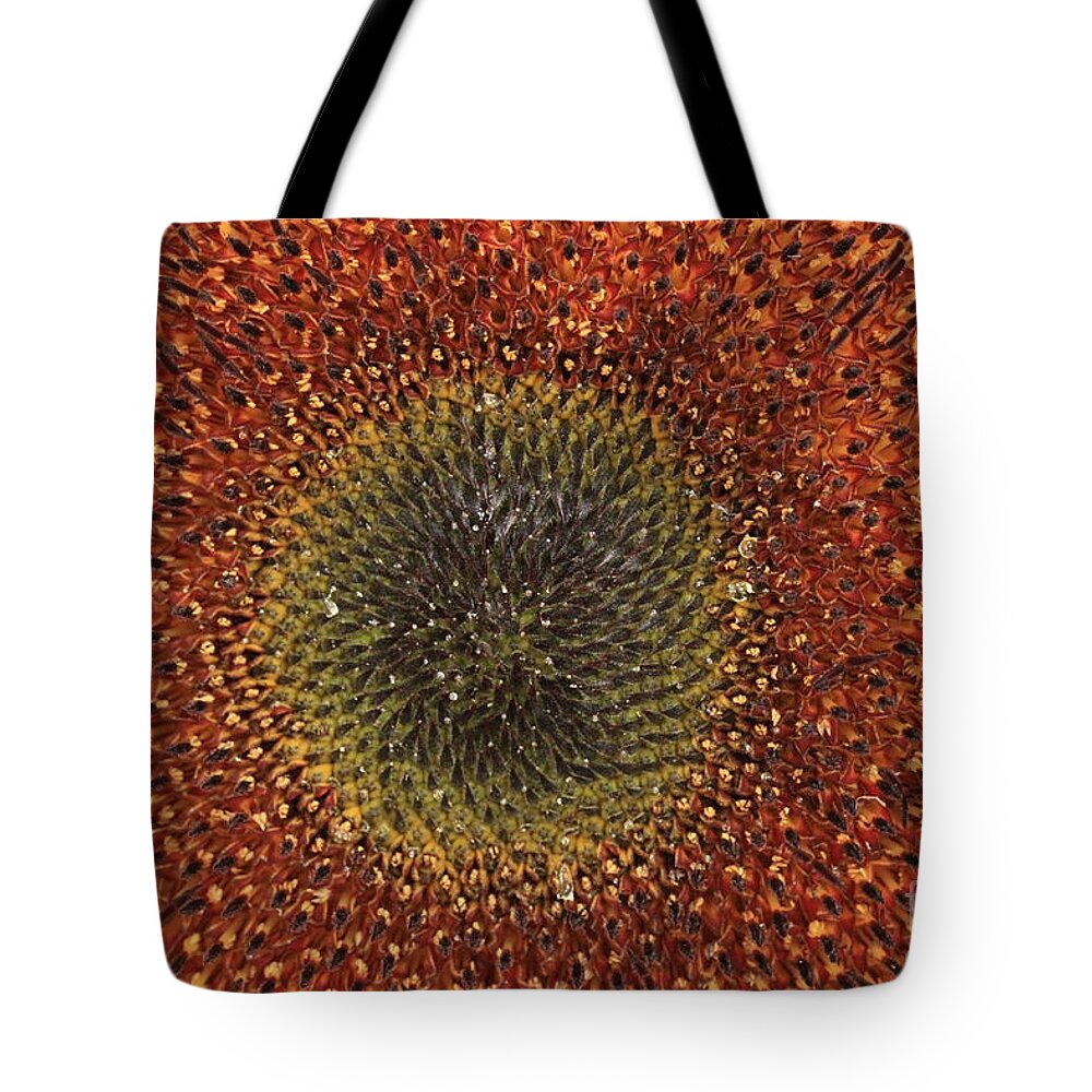 Background Tote Bag featuring the photograph Sunflower Seeds #1 by Amanda Mohler