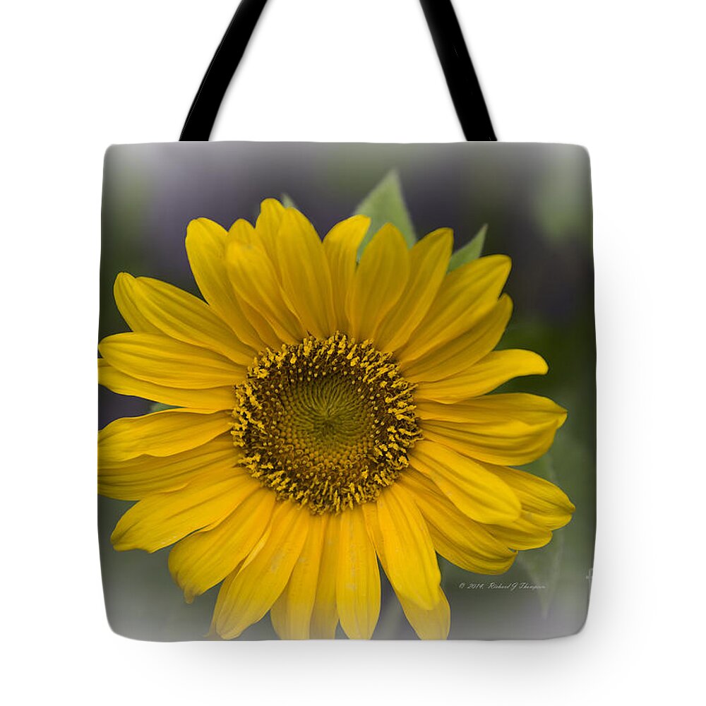 Sunflower Tote Bag featuring the photograph Sunflower vr. 'dwarf sunspot ' #1 by Richard J Thompson 