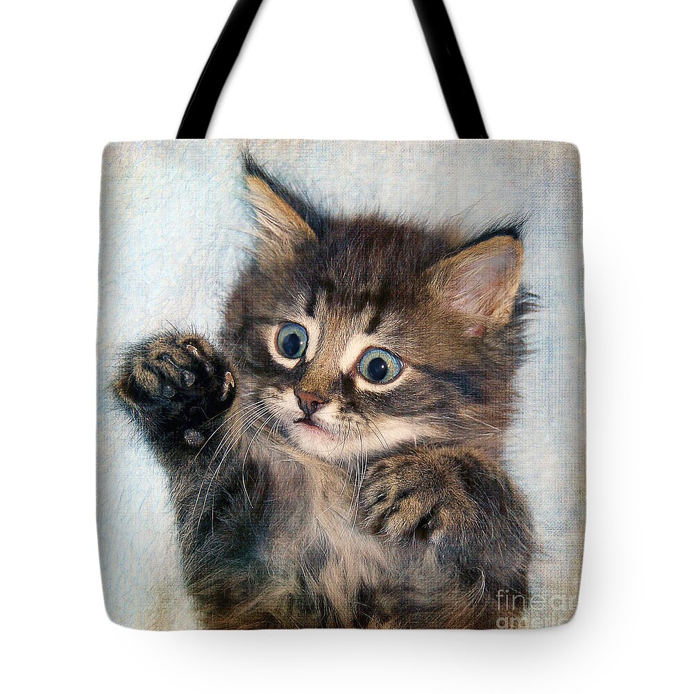 Animal Tote Bag featuring the photograph Sweet kitten #1 by Teresa Zieba