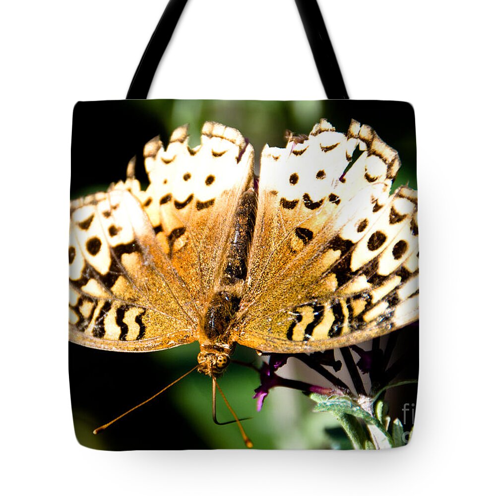  Tote Bag featuring the photograph Tattered and Torn #1 by Cheryl Baxter