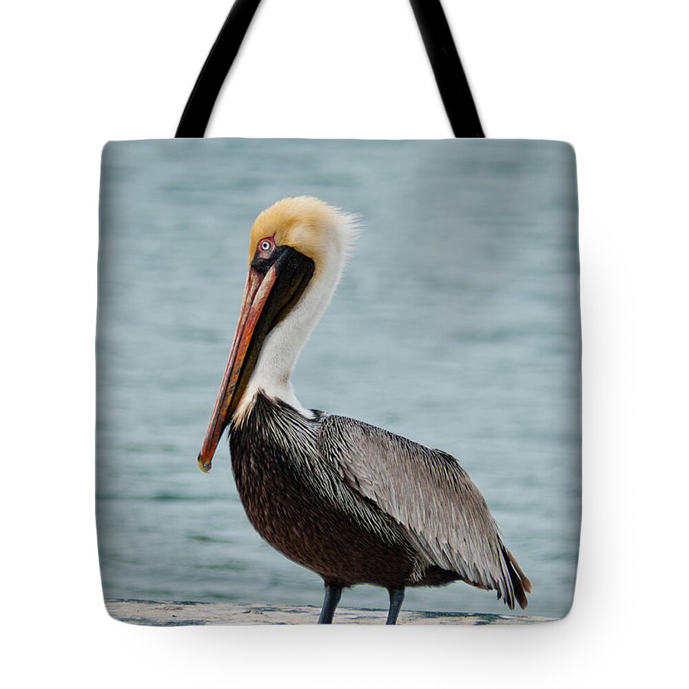 Usa Tote Bag featuring the photograph The Pelican by Hannes Cmarits