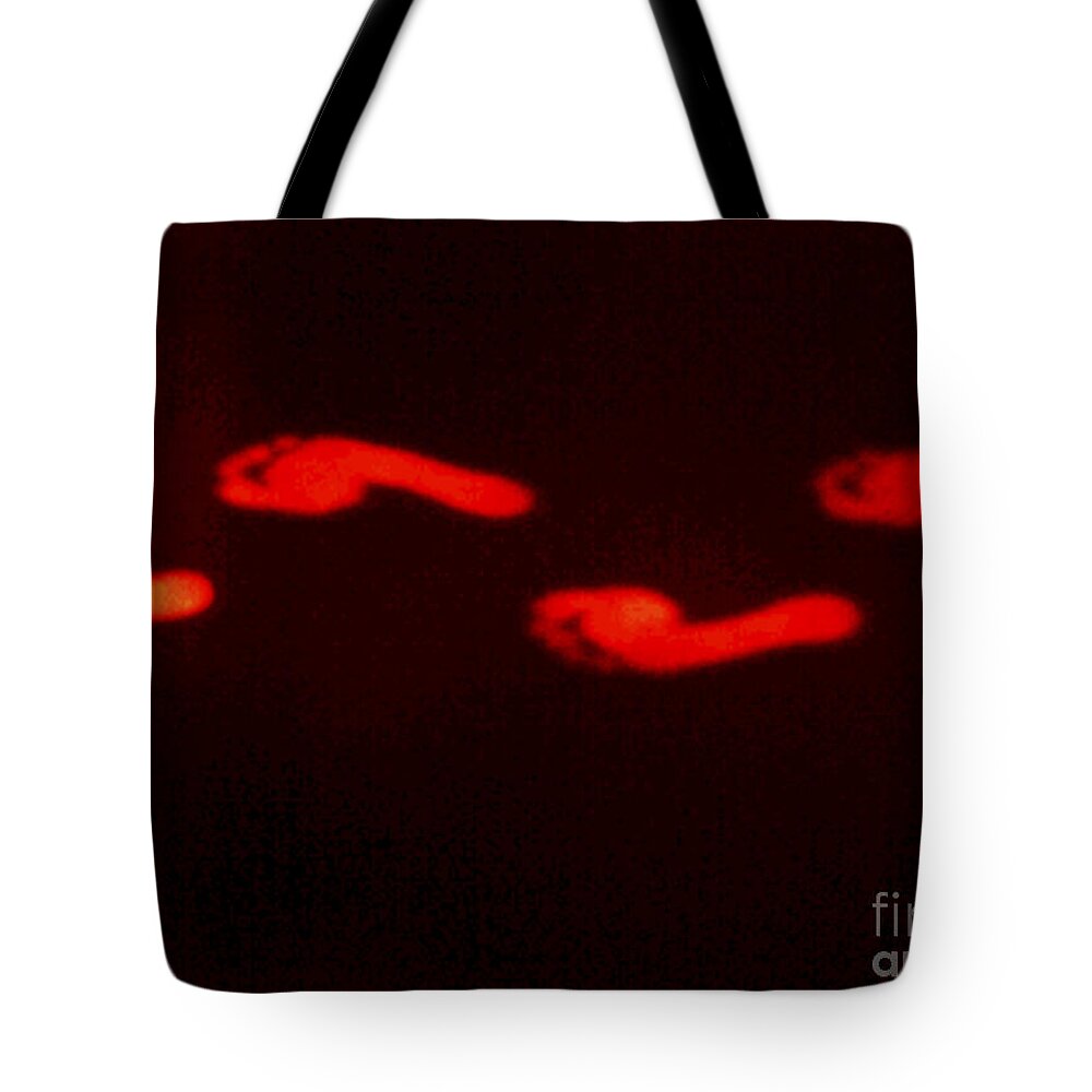 Barefoot Tote Bag featuring the photograph Thermogram Of Thermal Footprints #1 by GIPhotoStock