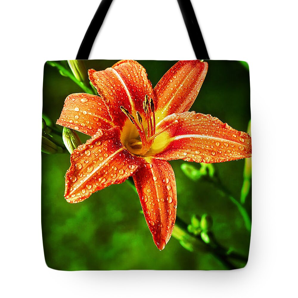 Tiger Lily Tote Bag featuring the photograph Tiger Lily Print by Gwen Gibson