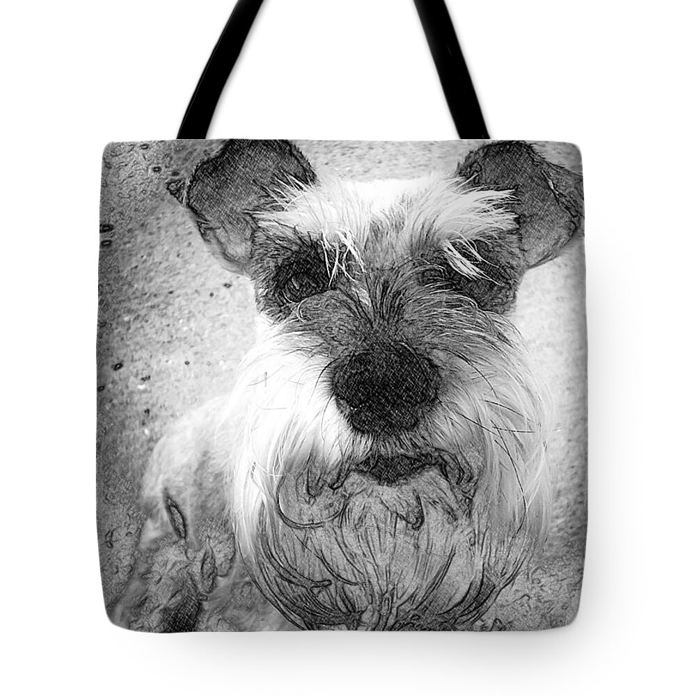 Dog Tote Bag featuring the photograph Trixie #1 by John Duplantis