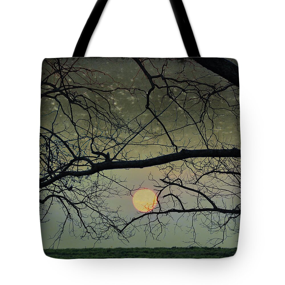Night Tote Bag featuring the photograph Twilight #2 by Jan Amiss Photography