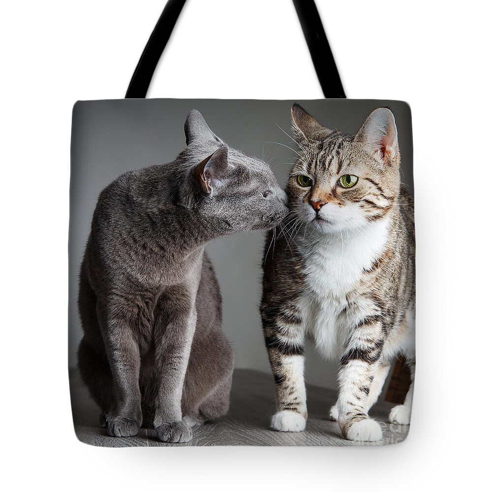 Cat Tote Bag featuring the photograph Two Cats by Nailia Schwarz