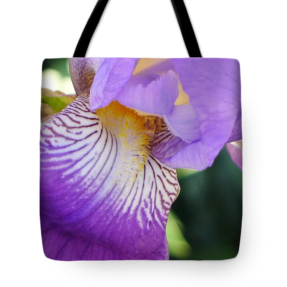 Violet Tote Bag featuring the photograph Violet by Nora Boghossian