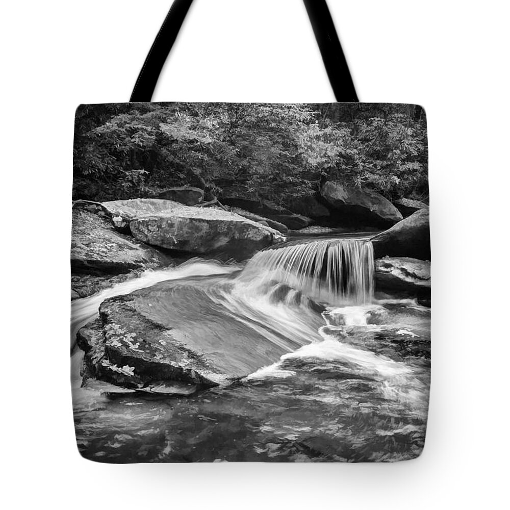 Waterfalls Tote Bag featuring the photograph Waterfalls Great Smoky Mountains Painted BW by Rich Franco