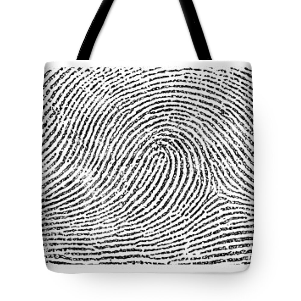Fingerprint Tote Bag featuring the photograph Whorl, Loop, And Arch Fingerprints #1 by Science Source