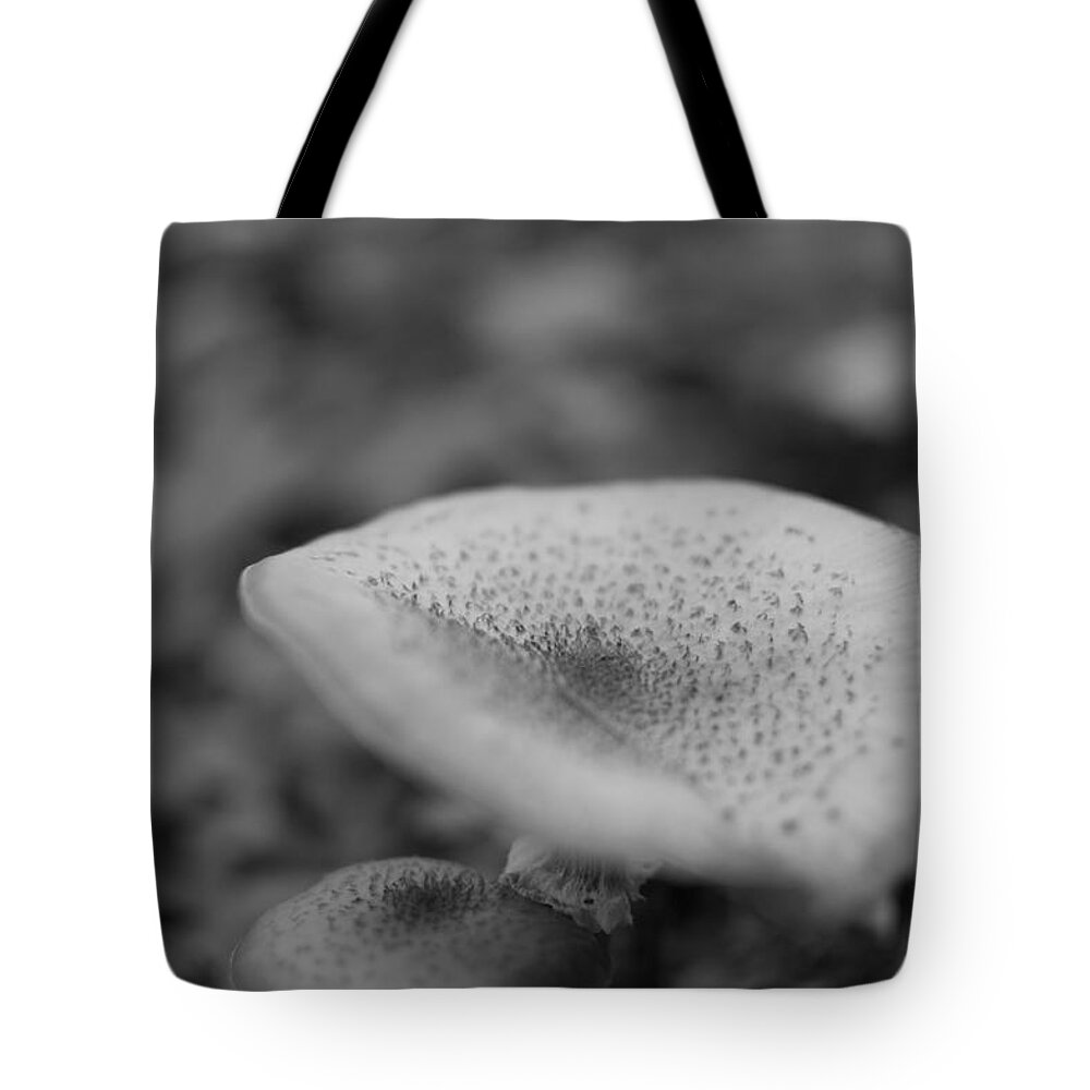 Miguel Tote Bag featuring the photograph Wild Mushroom #1 by Miguel Winterpacht