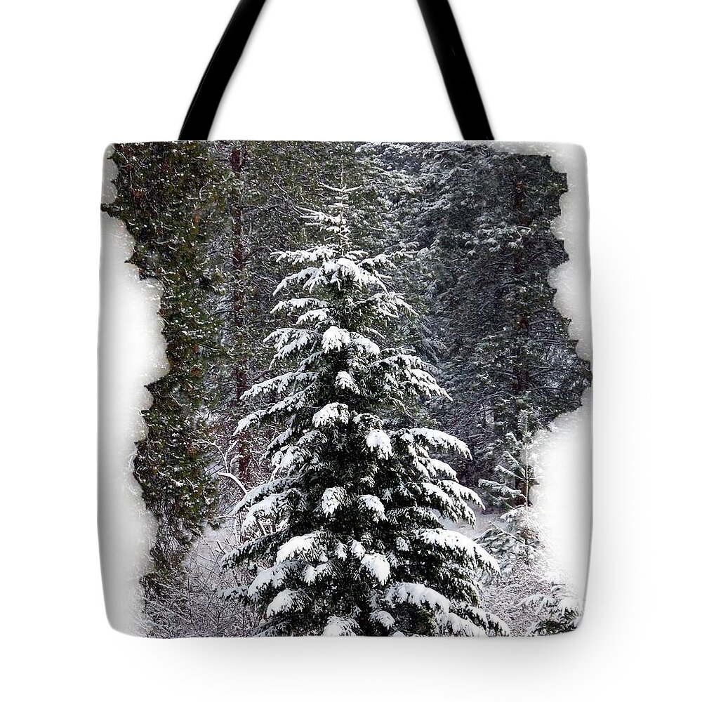 Winter Calm Tote Bag featuring the photograph Winter Calm #1 by Will Borden