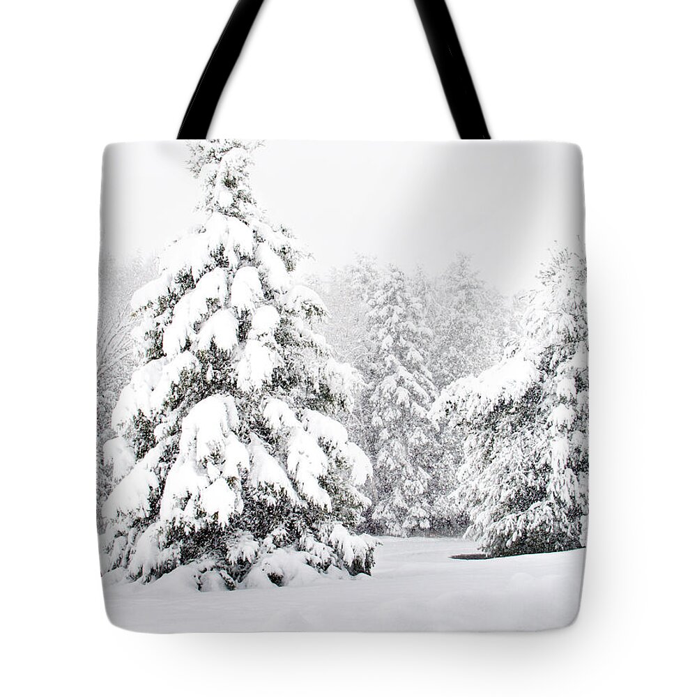 Winter Landscape Tote Bag featuring the photograph Winter Landscape by Gwen Gibson