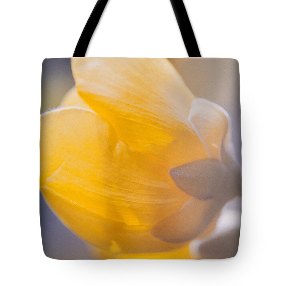 Art Tote Bag featuring the photograph Yellow buttercup flower #1 by U Schade