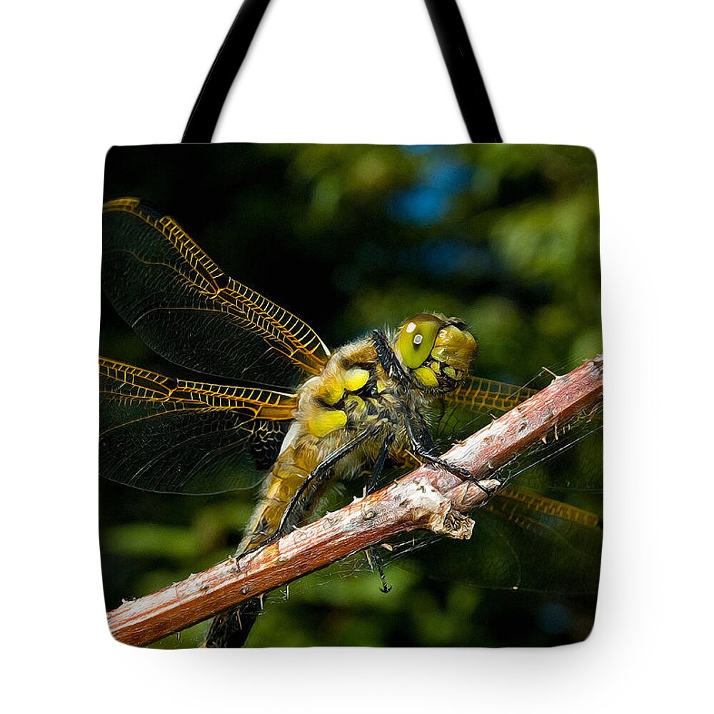 Dragonfly Tote Bag featuring the photograph Yellow Dragon by WB Johnston