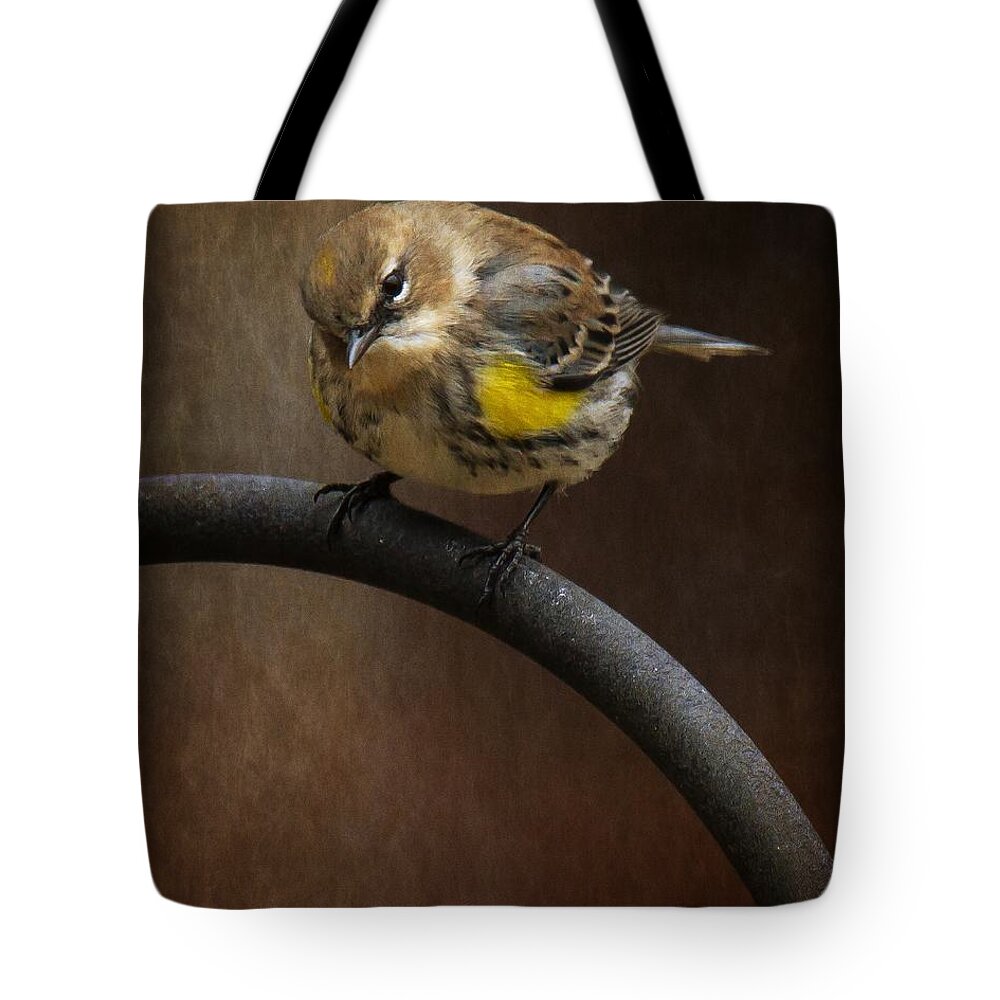 Yellow-rumped-warbler Tote Bag featuring the photograph Yellow-Rumped-Warbler by Robert L Jackson