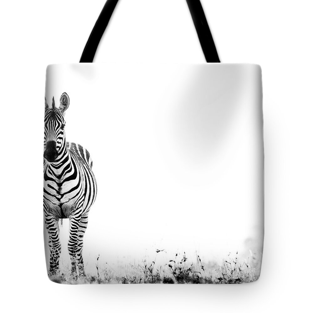 Africa Tote Bag featuring the photograph Zebra Facing Forward Washed Out Sky Bw #1 by Mike Gaudaur