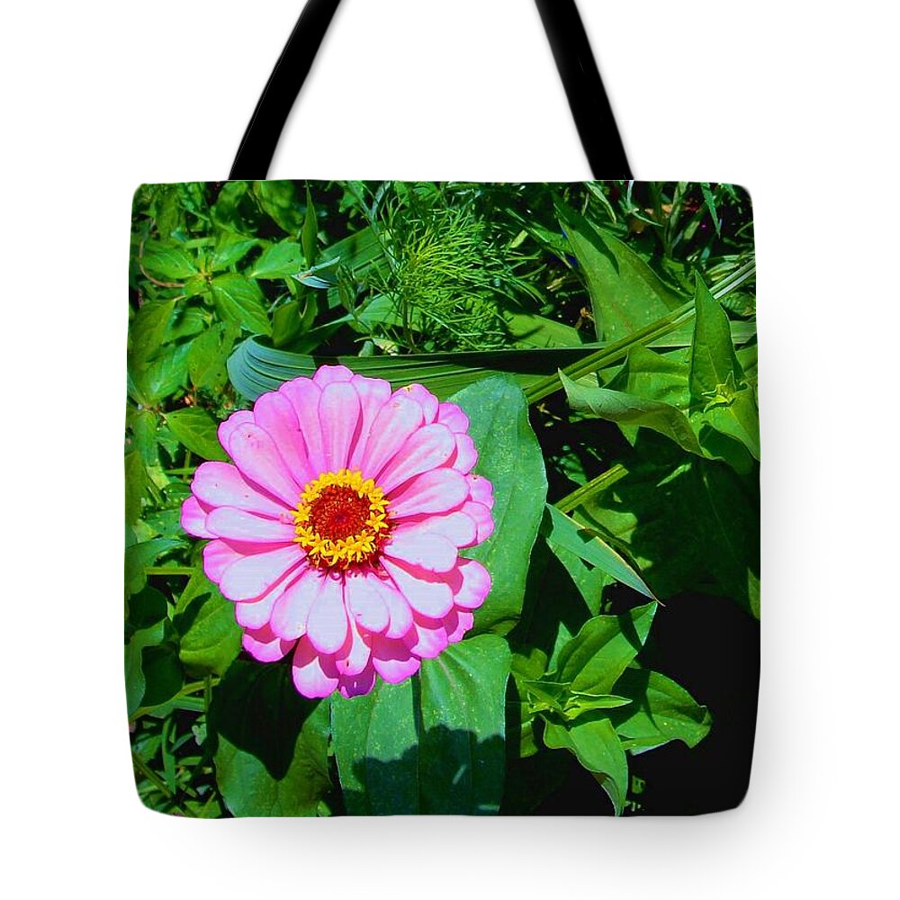Zinia Tote Bag featuring the photograph Zinia #1 by Anthony Seeker
