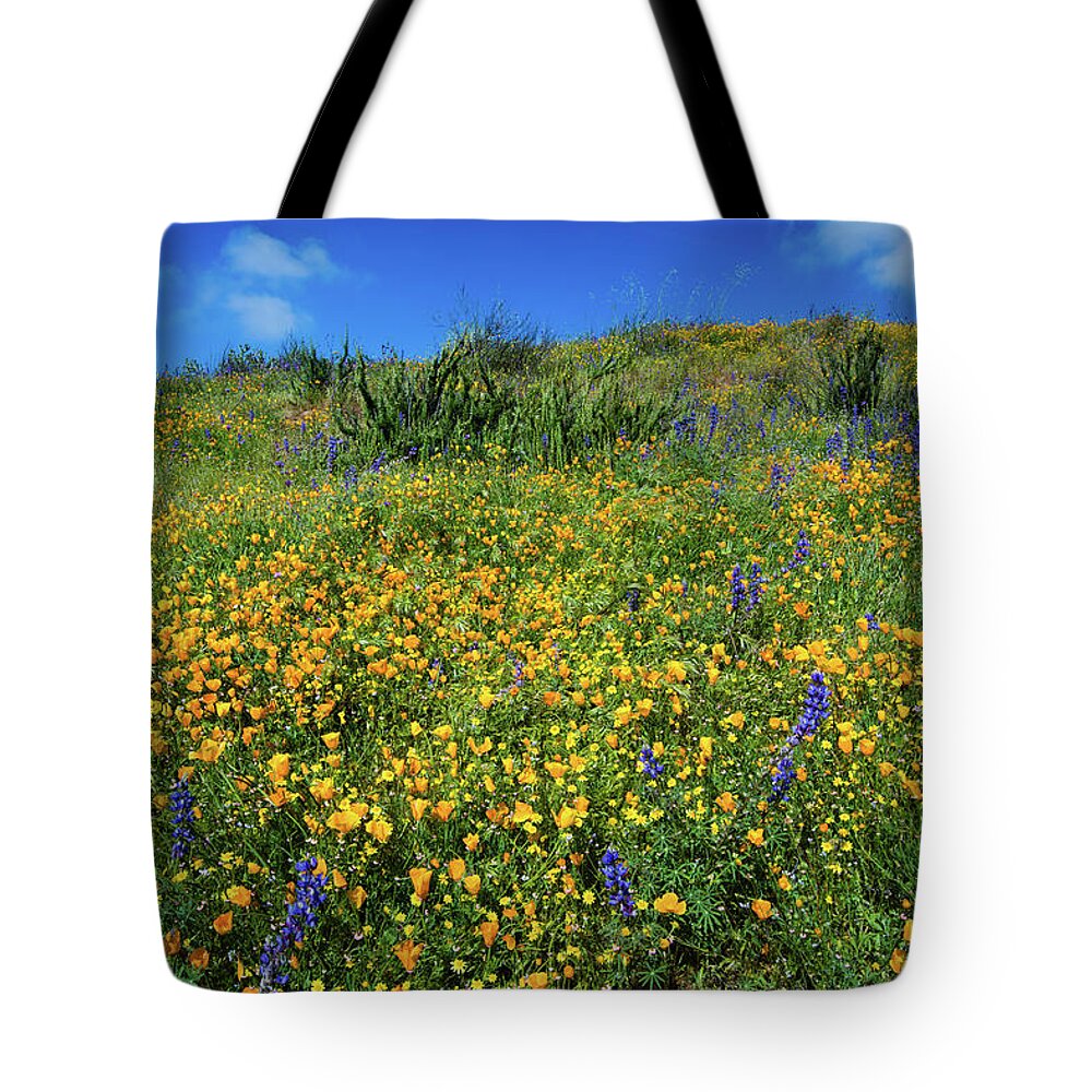 Photography Tote Bag featuring the photograph California Poppies Eschscholzia #10 by Panoramic Images
