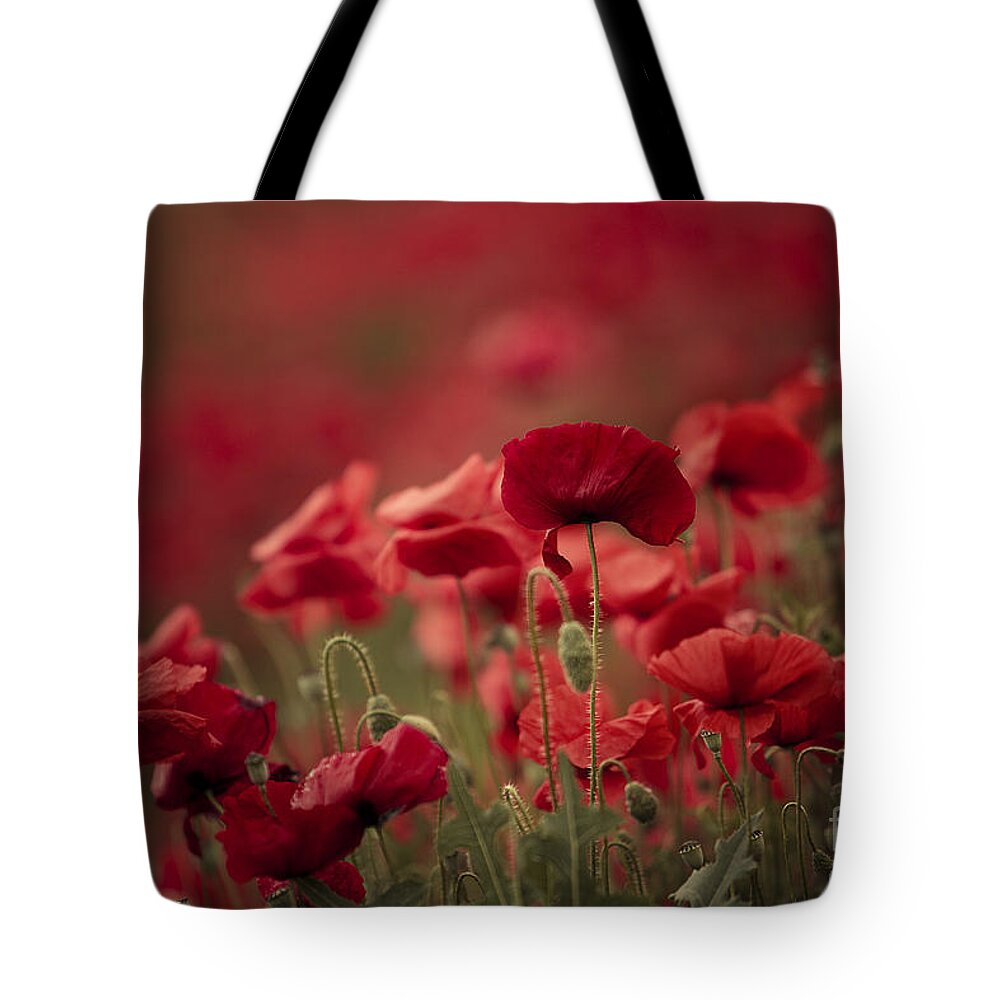 Poppy Tote Bag featuring the photograph Red #10 by Nailia Schwarz