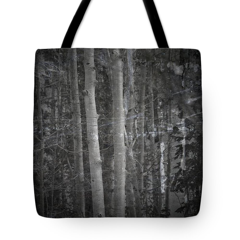 Birch Tote Bag featuring the photograph 1000 Voices by Mark Ross