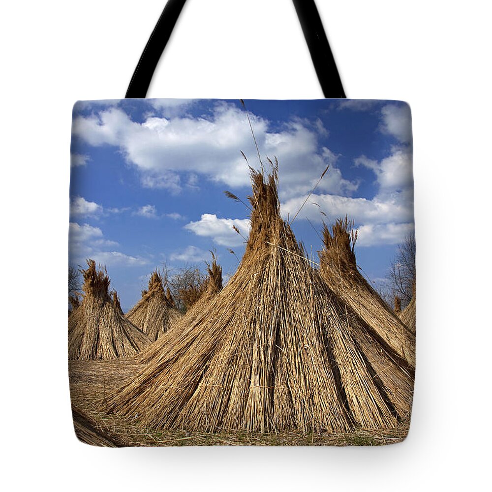 Common Reed Tote Bag featuring the photograph 101130p093 by Arterra Picture Library
