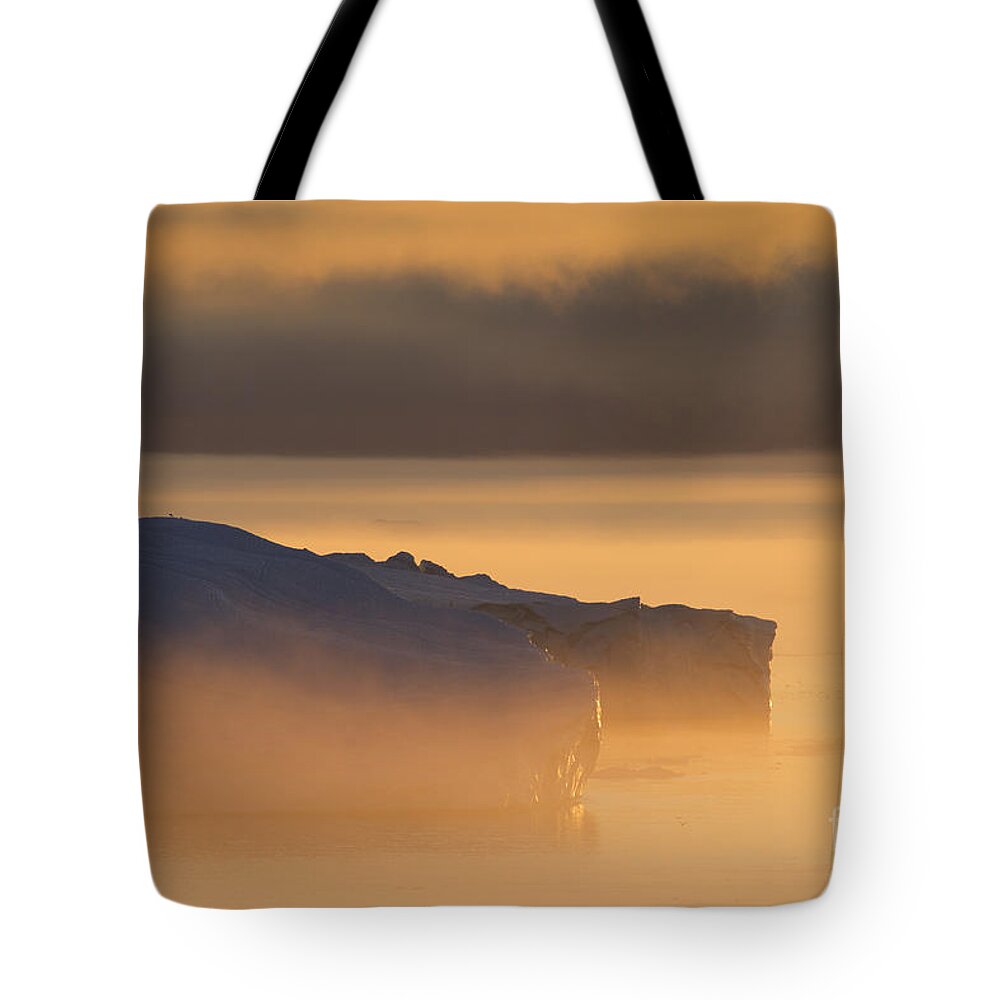 Iceberg Tote Bag featuring the photograph 101130p119 by Arterra Picture Library