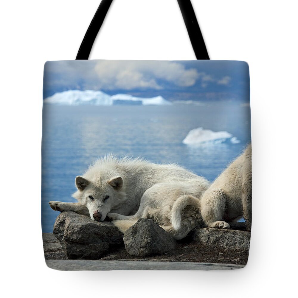 Greenland Tote Bag featuring the photograph 101130p240 by Arterra Picture Library