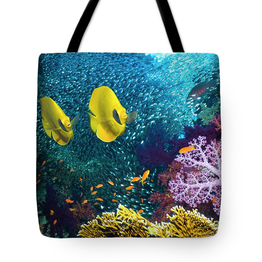 Tranquility Tote Bag featuring the photograph Coral Reef Scenery #11 by Georgette Douwma