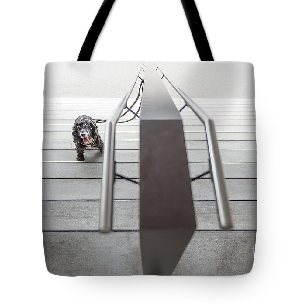 Stairs Tote Bag featuring the photograph Dog #11 by Mats Silvan
