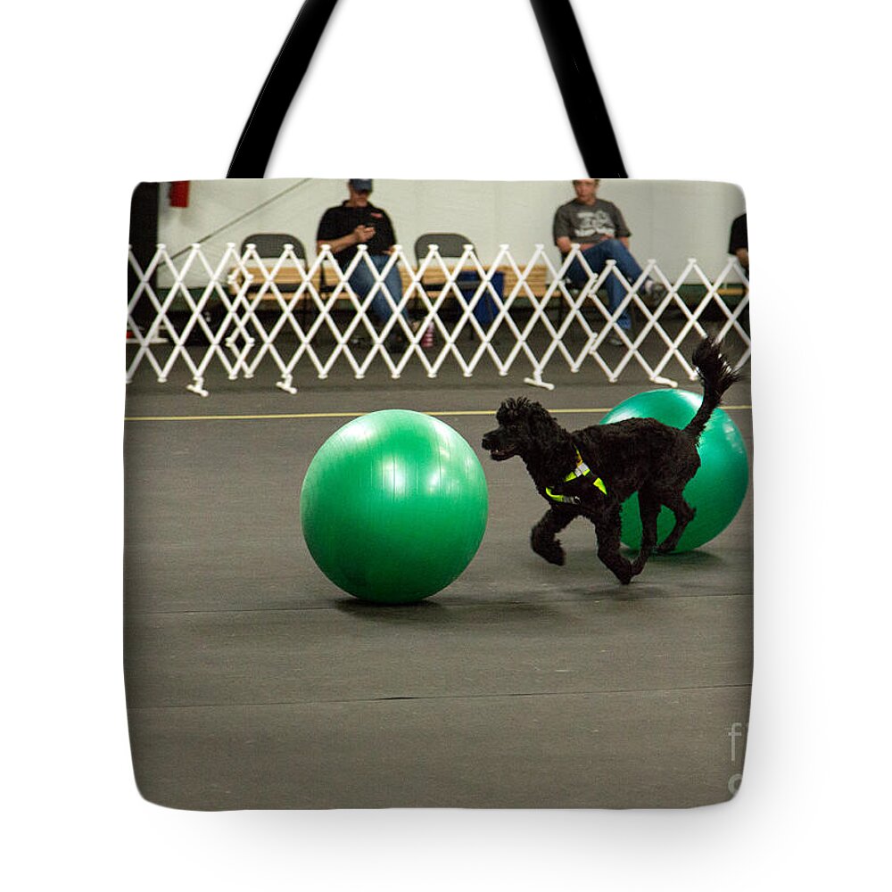  Tote Bag featuring the photograph Ellie Chiampa and Tallulah #11 by Fred Stearns