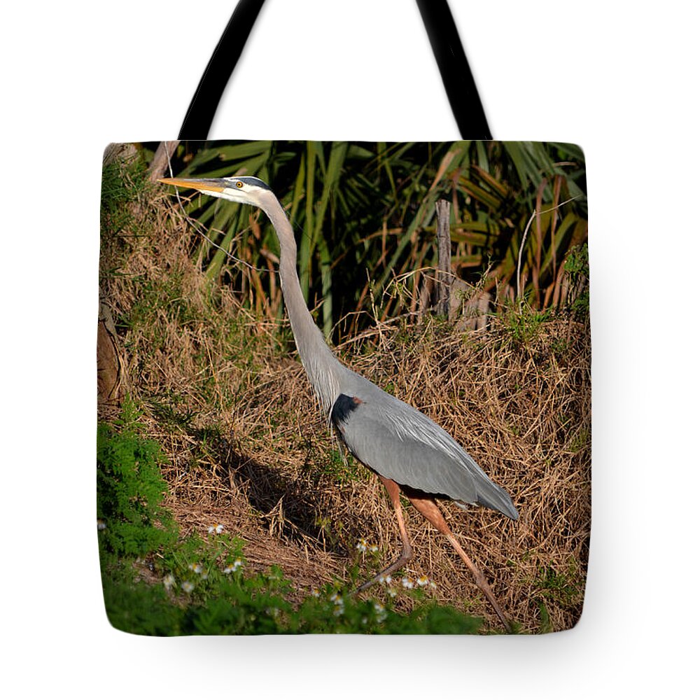  Tote Bag featuring the photograph 11- Great Blue Heron by Joseph Keane