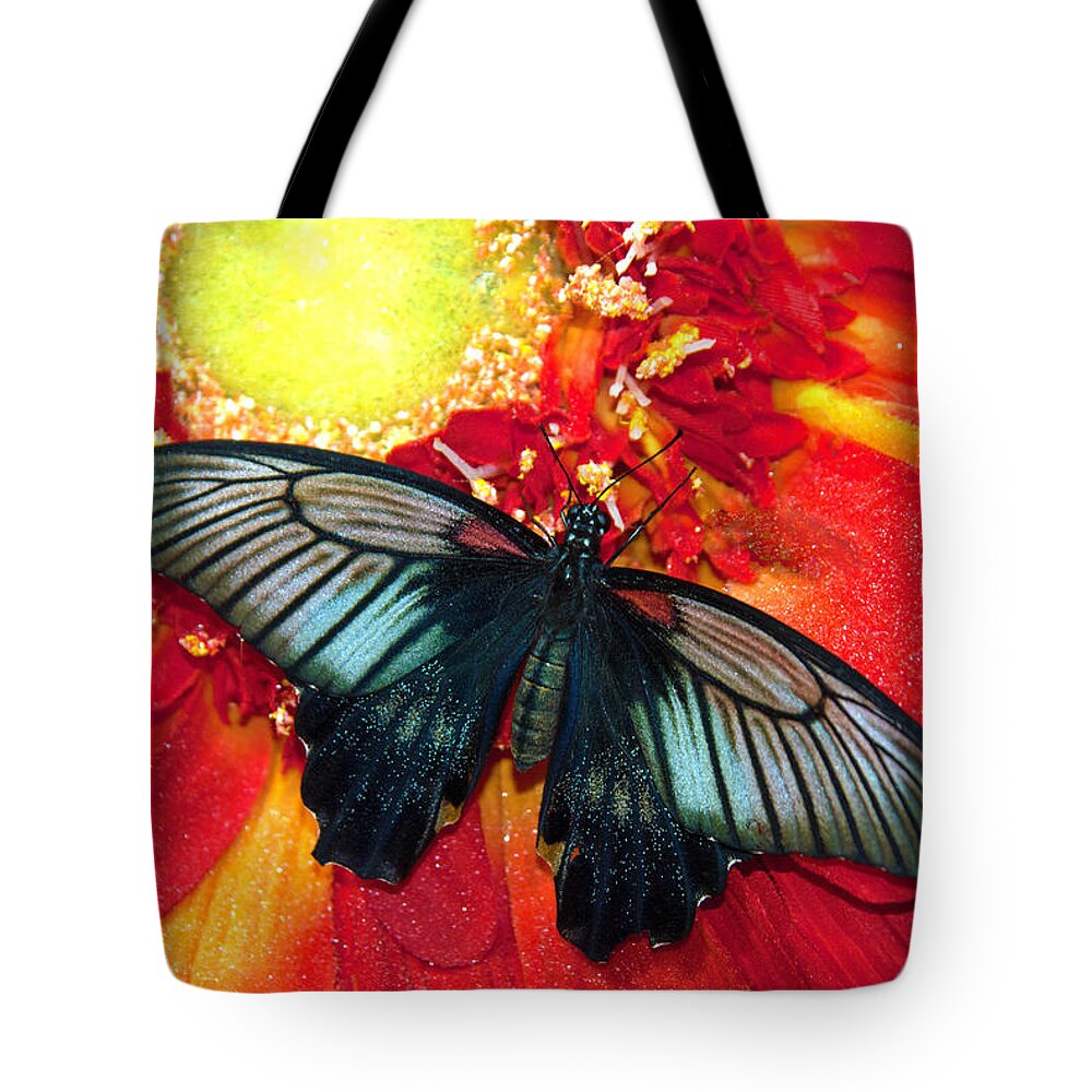 Butterfly; Flower; Mormon Butterfly; Butterfly Wonderland; Scottsdale Tote Bag featuring the photograph Mormon Butterfly #1 by Tam Ryan