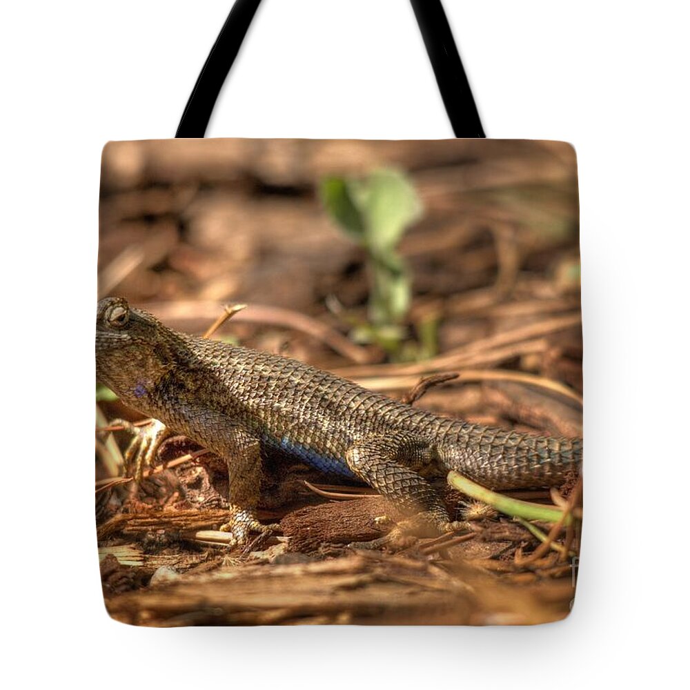 Lizard Tote Bag featuring the photograph Lizard #12 by Marc Bittan