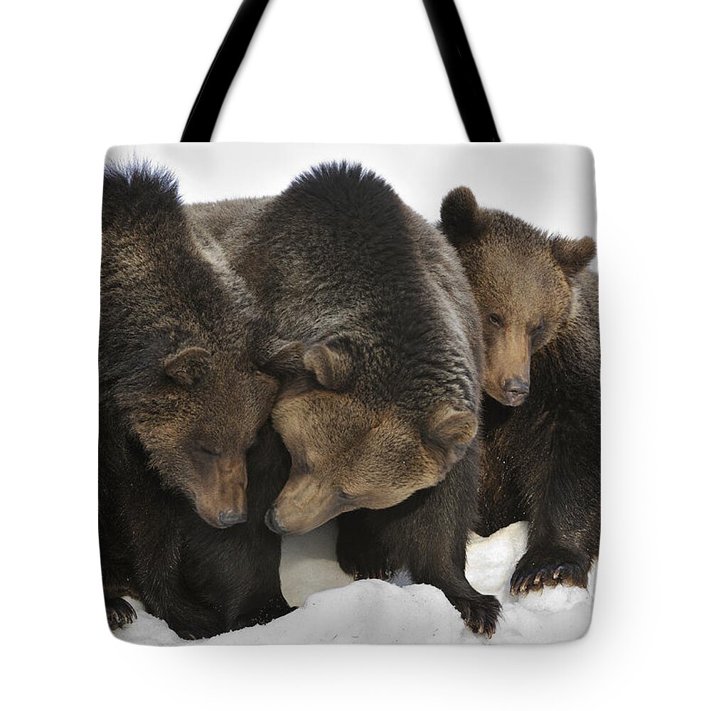 Common Tote Bag featuring the photograph 120715p113 by Arterra Picture Library