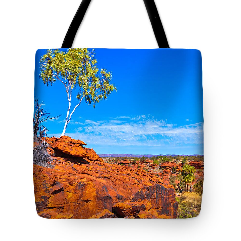 Palm Valley Central Australia Australian Outback Landscape Water Hole Oasis Palm Trees Ghost Gums Tote Bag featuring the photograph Palm Valley Central Australia #13 by Bill Robinson