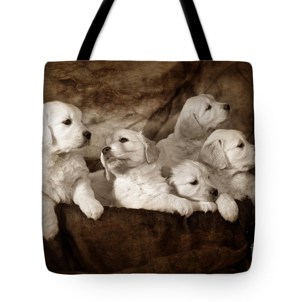 Dog Tote Bag featuring the photograph Vintage festive puppies #13 by Ang El