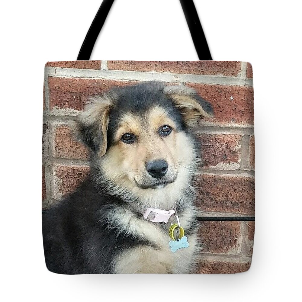 Germanshepherd Tote Bag featuring the photograph 13 Week Old Miss by Abbie Shores